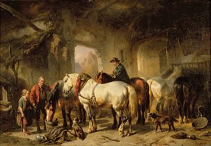 Cavalos, alimentação, em, a, estável