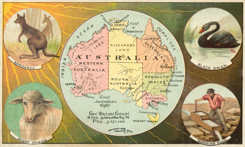 Austrália de American School