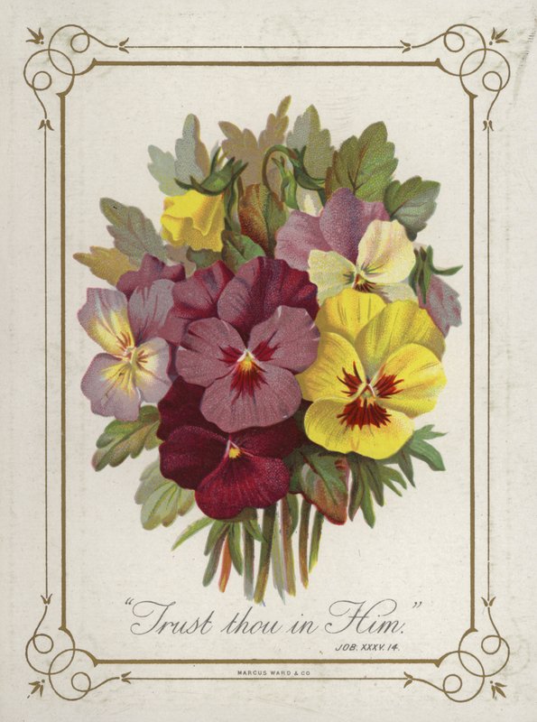 Posy de flores de English School