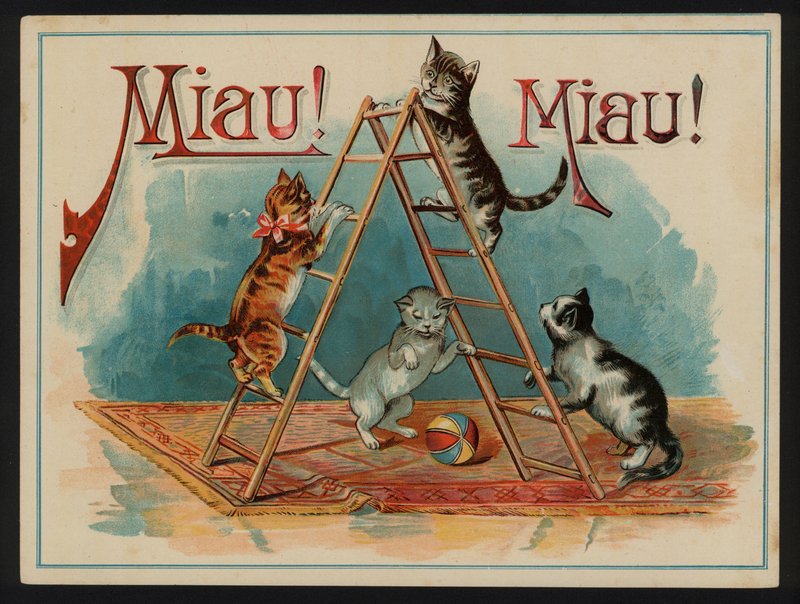 Meow! Meow! de European School