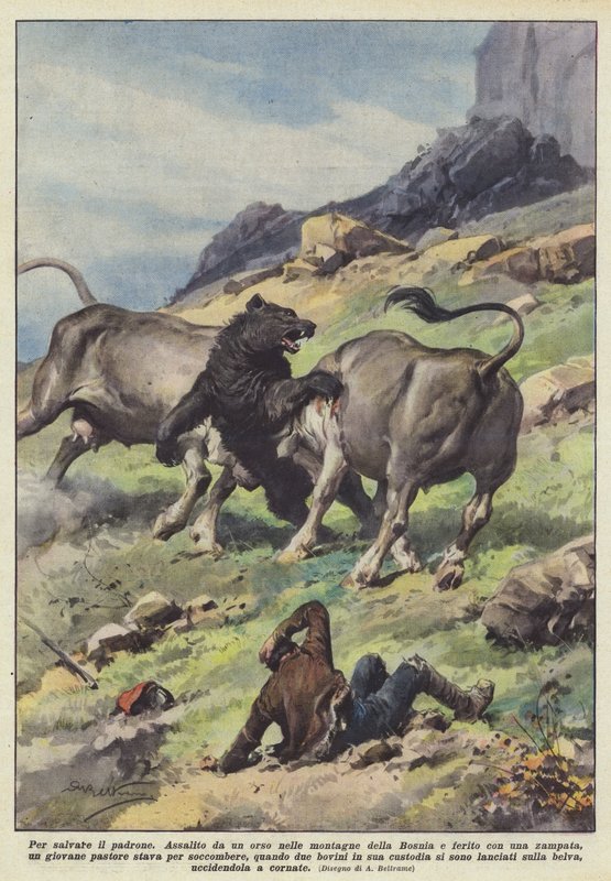 Para salvar o mestre de Achille Beltrame