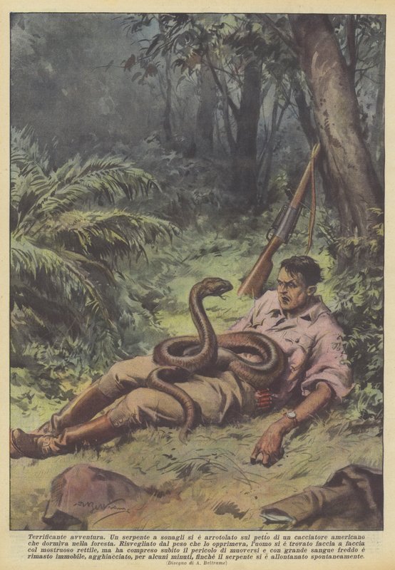 Aventura aterrorizante de Achille Beltrame