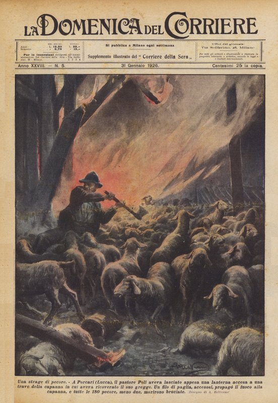 Um massacre de ovelhas de Achille Beltrame