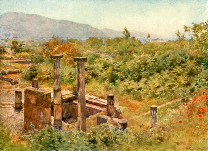 Vista, de, pompeii de Alberto Pisa