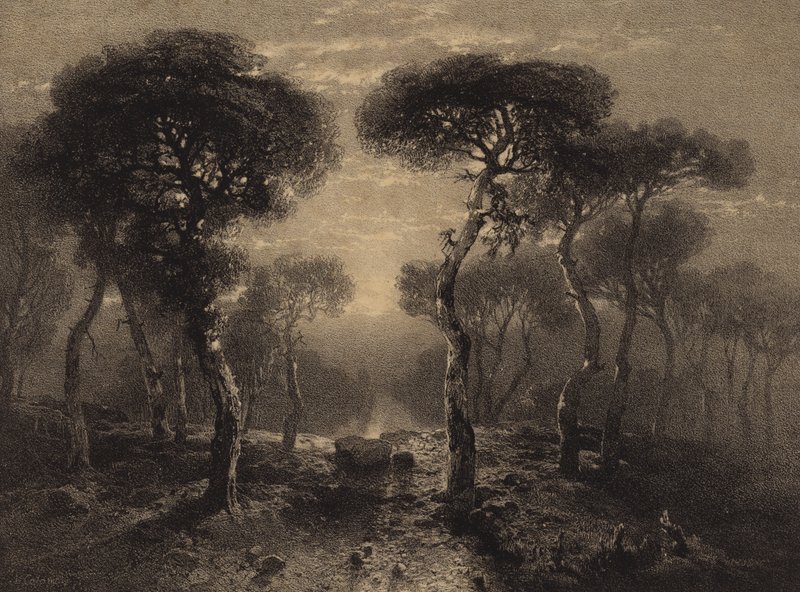 Paisagem com árvores de Alexandre Calame