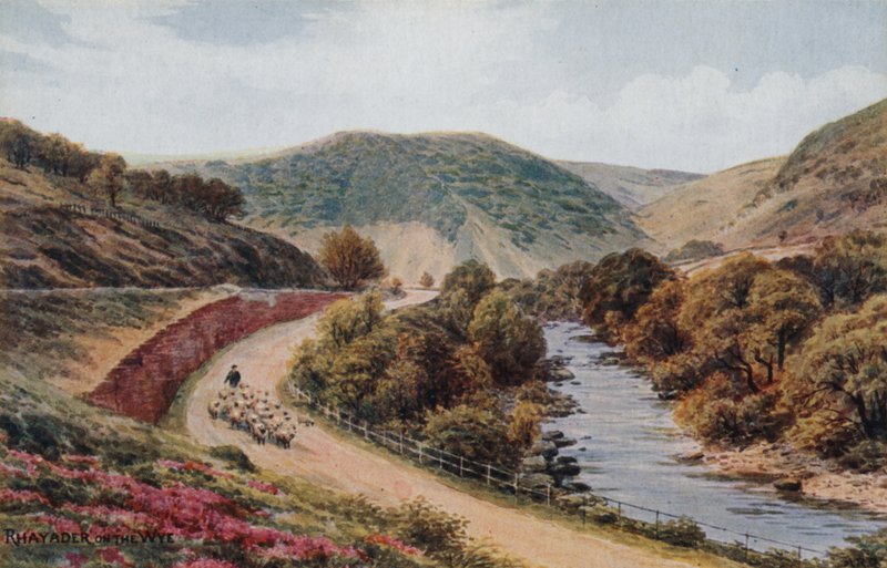 Rhayader no Wye de Alfred Robert Quinton
