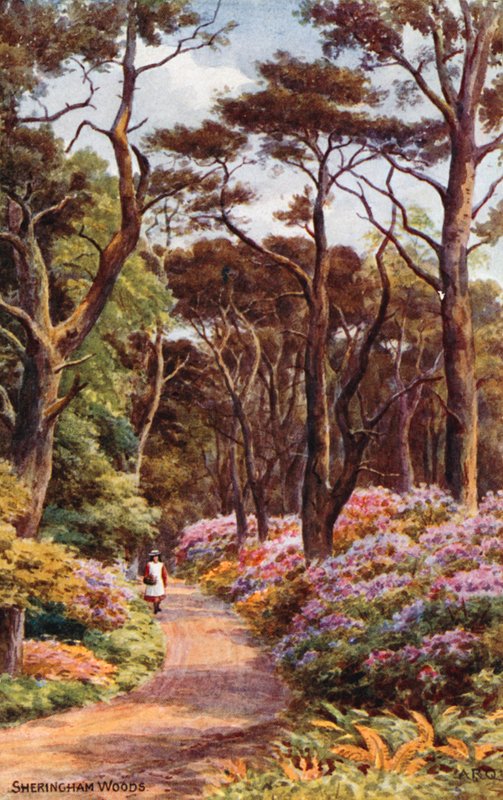 Sheringham Woods de Alfred Robert Quinton