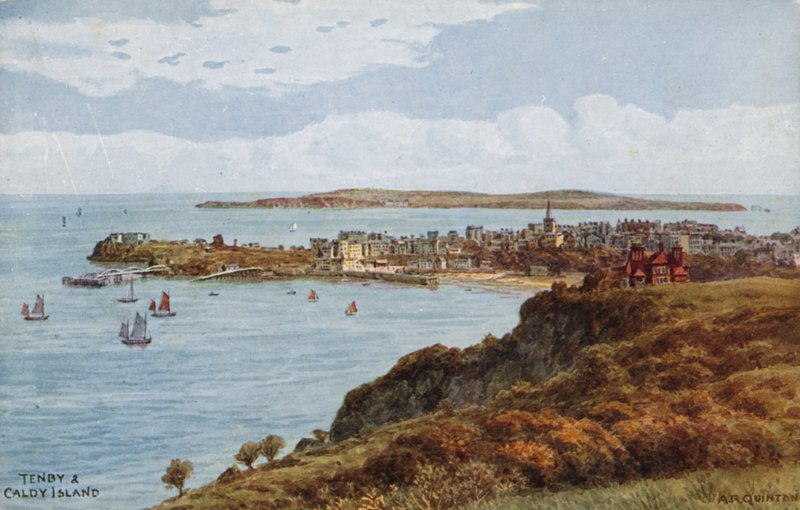 Ilha Tenby und Caldy de Alfred Robert Quinton