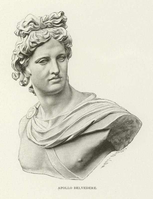 Belvedere Apollo de American School
