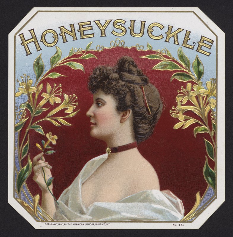 Madressilva (chromolitho) de American School