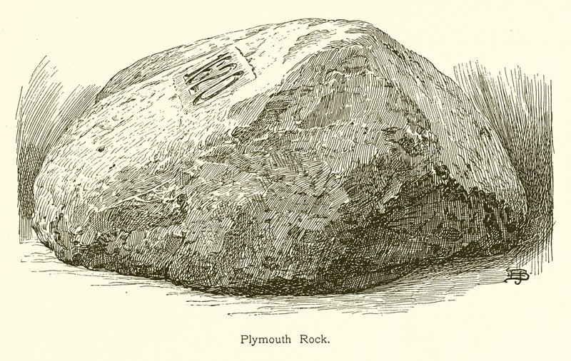 Plymouth Rock de American School