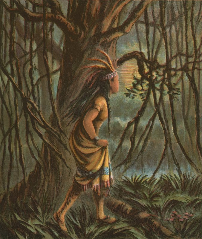 Pocahontas de American School
