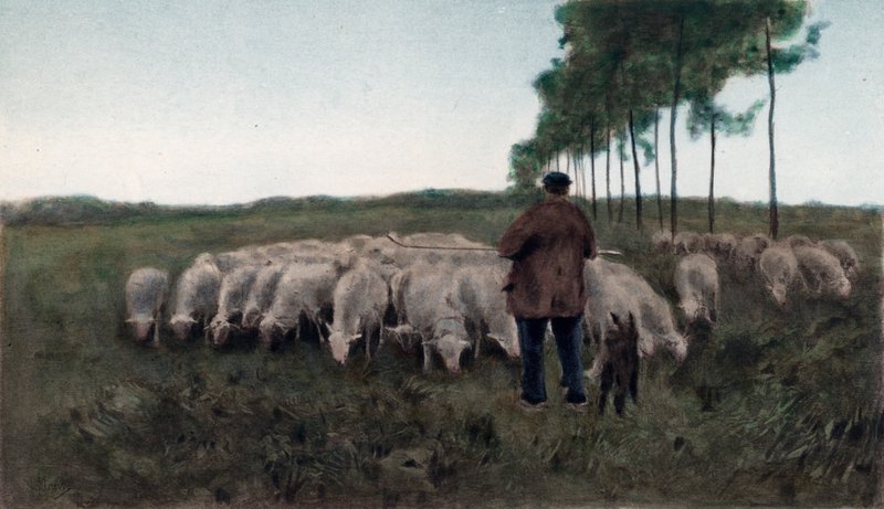 Outono (fotogravura a cores) de Anton Mauve