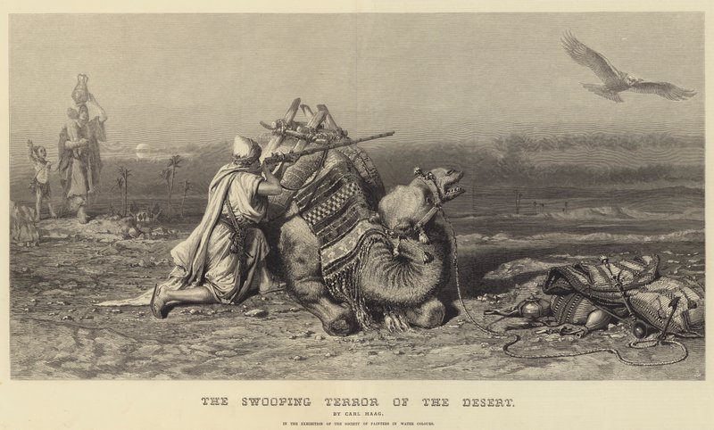 O Terror do Swooping do Deserto de Carl Haag