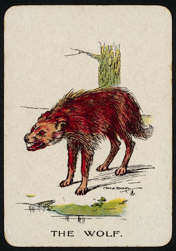 O Lobo (lito colorido) de Charles A. Buchel