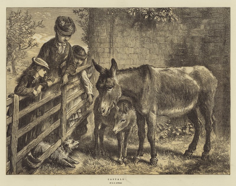 Casuals de Ebenezer Newman Downard