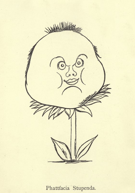 Phattfacia Stupenda de Edward Lear