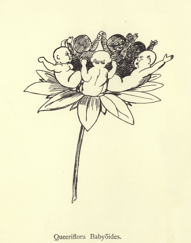 Queeriflora Babyoides de Edward Lear
