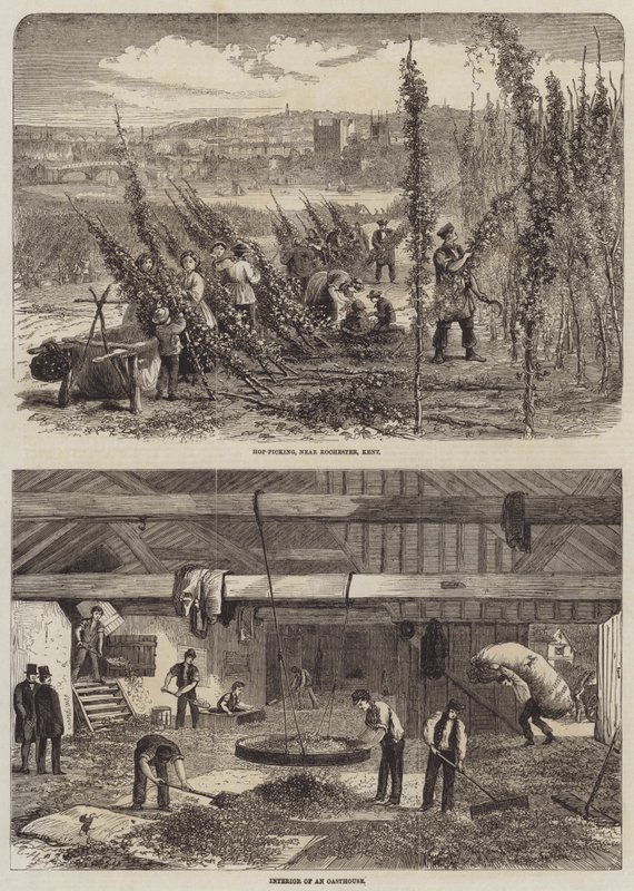 Colheita de lúpulo em Kent de Edward Hull
