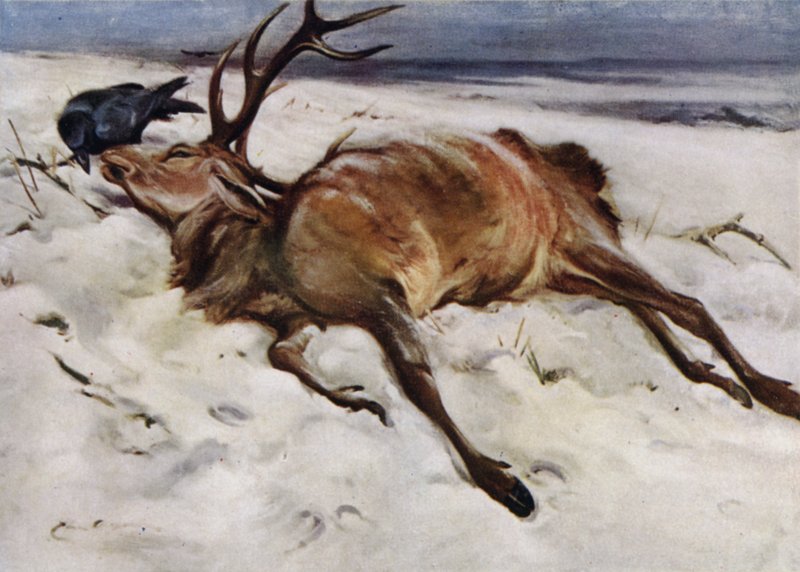 O veado morto de Edwin John Alexander