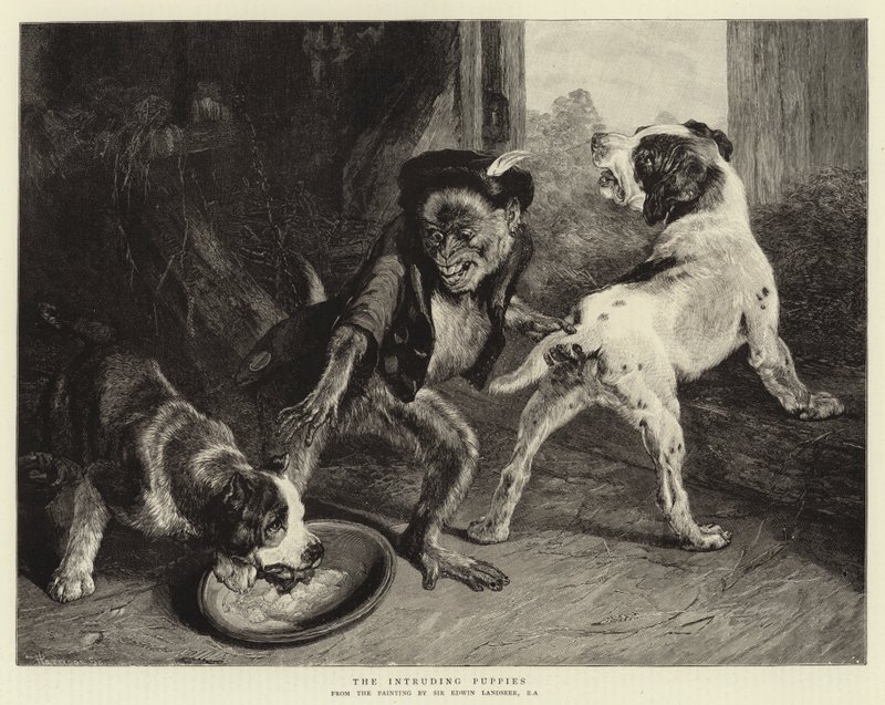 Os filhotes intrusos de Edwin Landseer