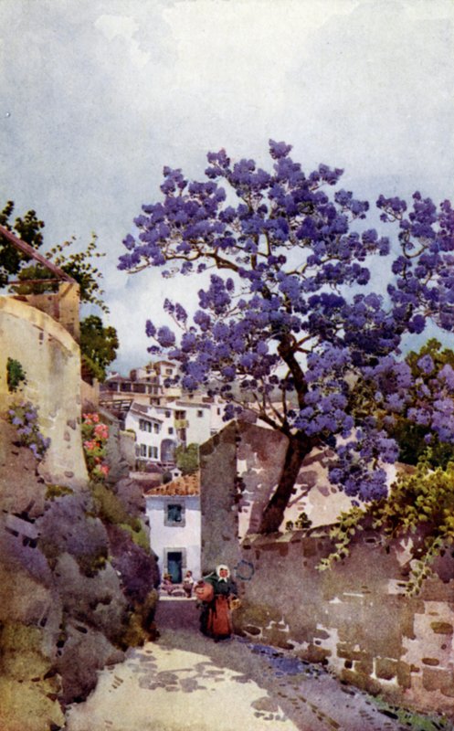 Jacarandá (lito colorido) de Ella Du Cane