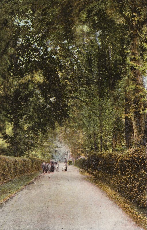 Spencer Road, Ryde de English Photographer