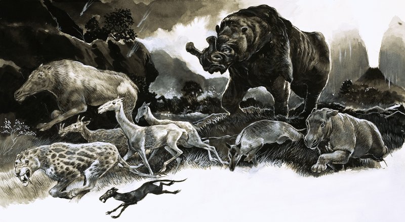 Animais da Era Oligocene de English School