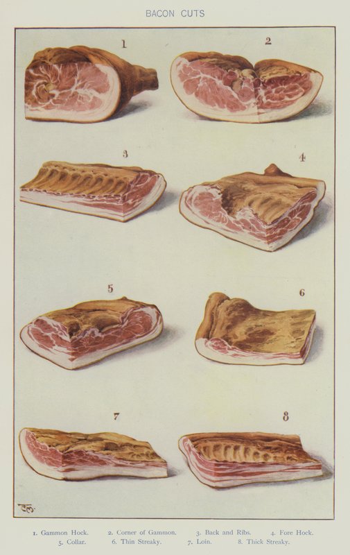 Cortes de bacon (cor litho) de English School