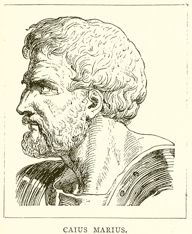Caius Marius de English School