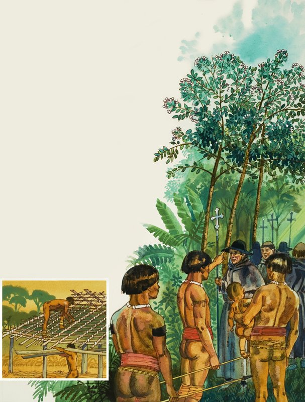 Árvore de chinchona de English School