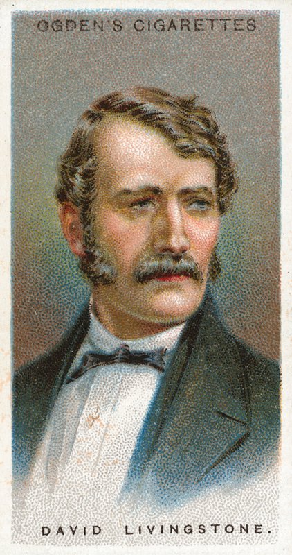 David Livingstone de English School