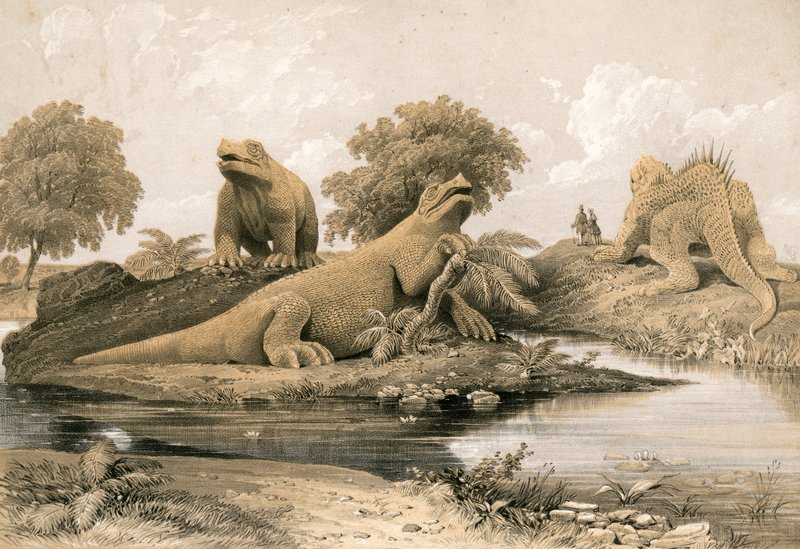 Animais extintos de English School
