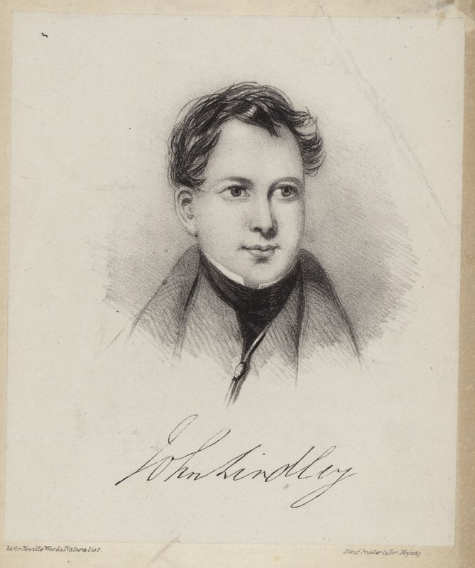 John Lindley de English School