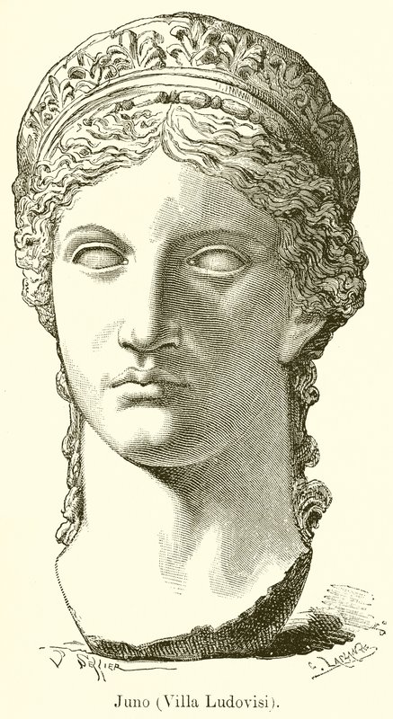 Juno (Villa Ludovisi) de English School
