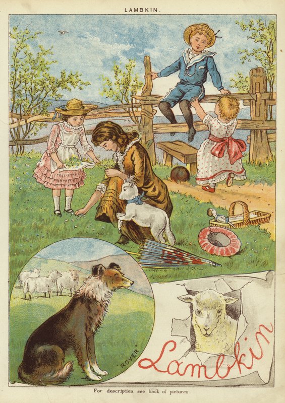 Lambkin (chromolitho) de English School