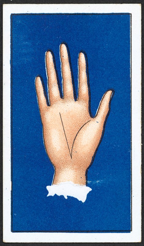 Linha da Fortuna (cor litho) de English School