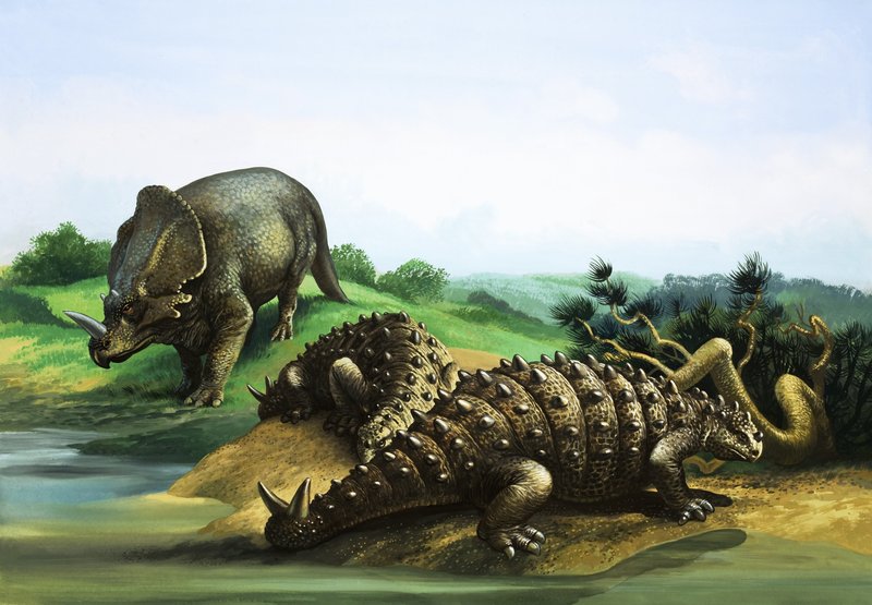 Monoclonius e Scolosaurus de English School