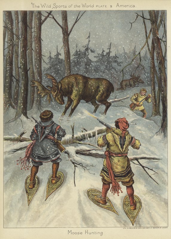 Caça aos alces de English School