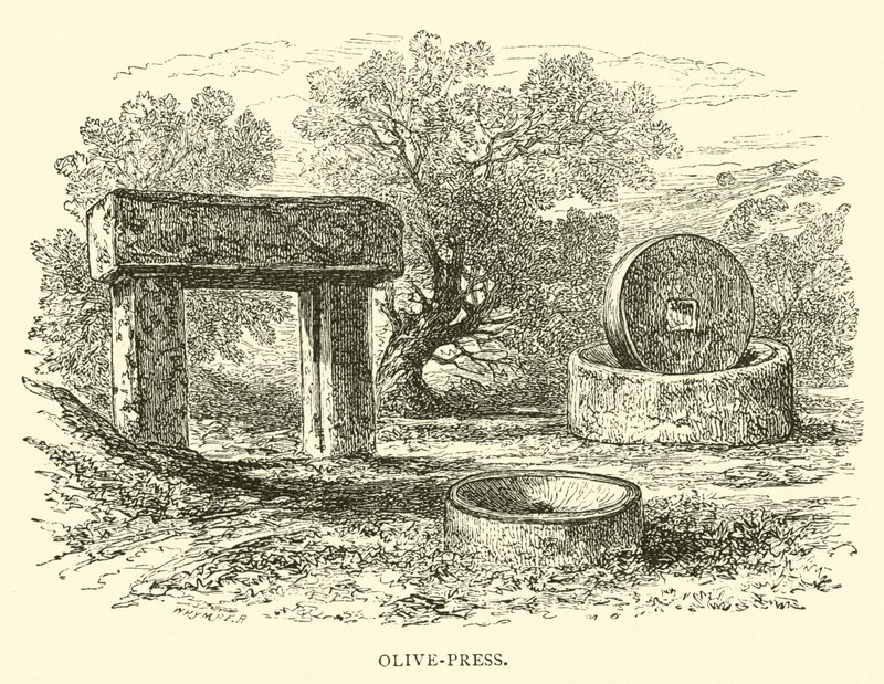 Olive-press de English School
