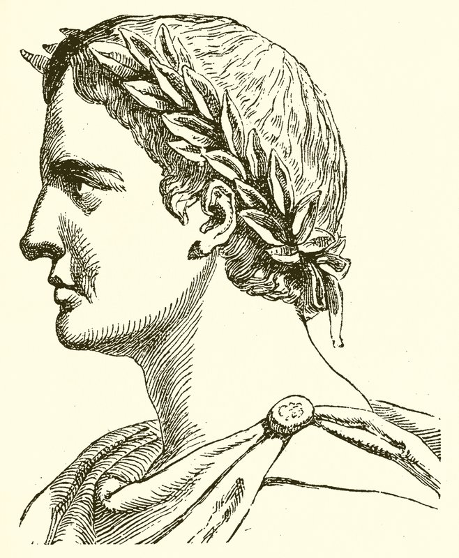 Plínio, o Velho de English School