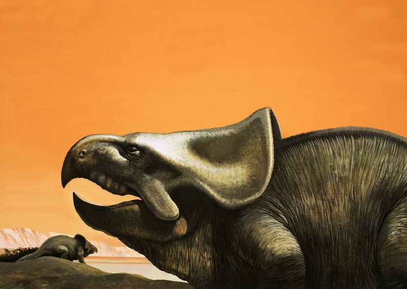 Protoceratops de English School