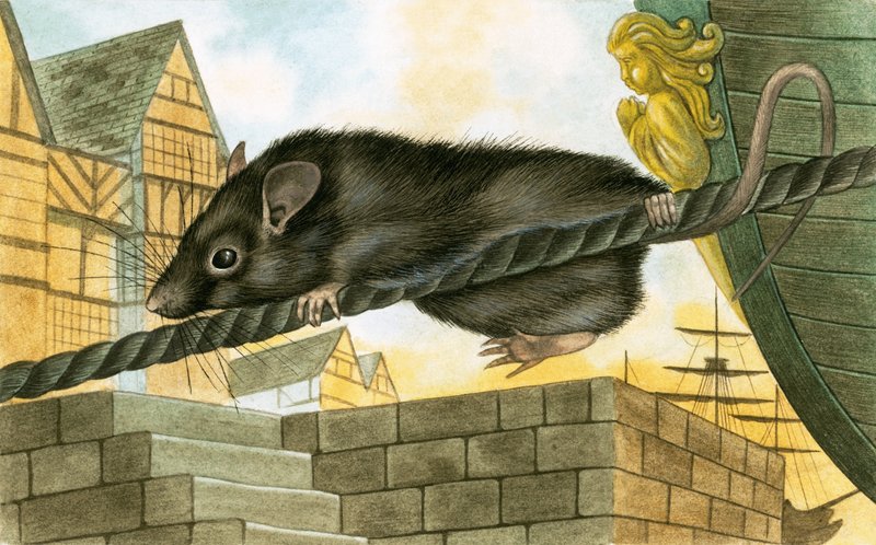 Rato deixando um navio de English School