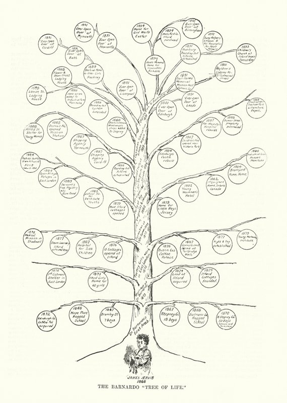 A Barnardoeira da Vida (litografia) de English School