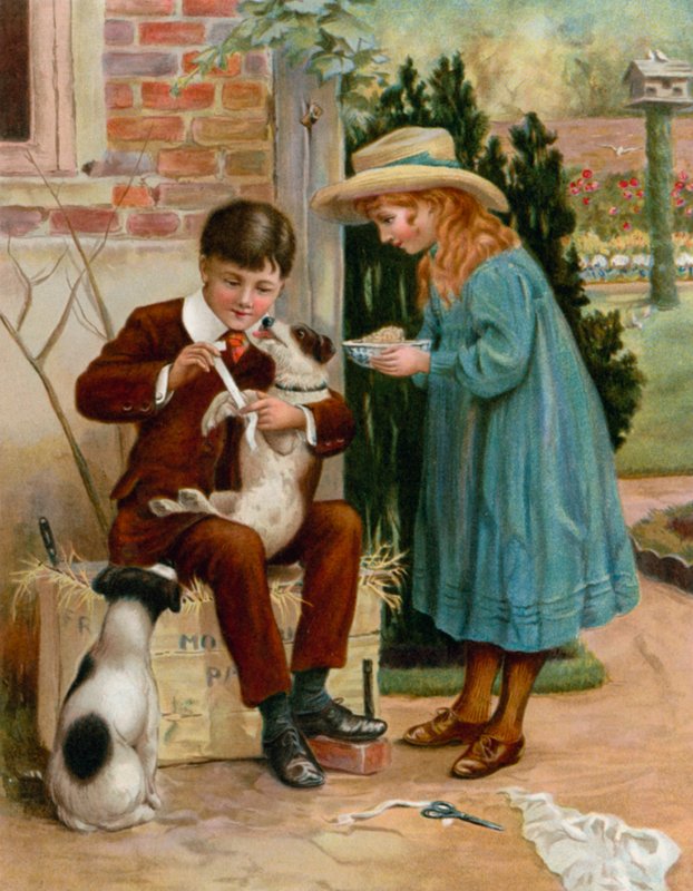 The Boy Doctor de English School