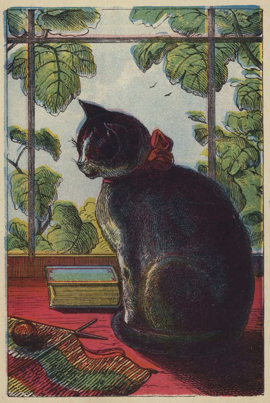 O gato (litografia a cores) de English School