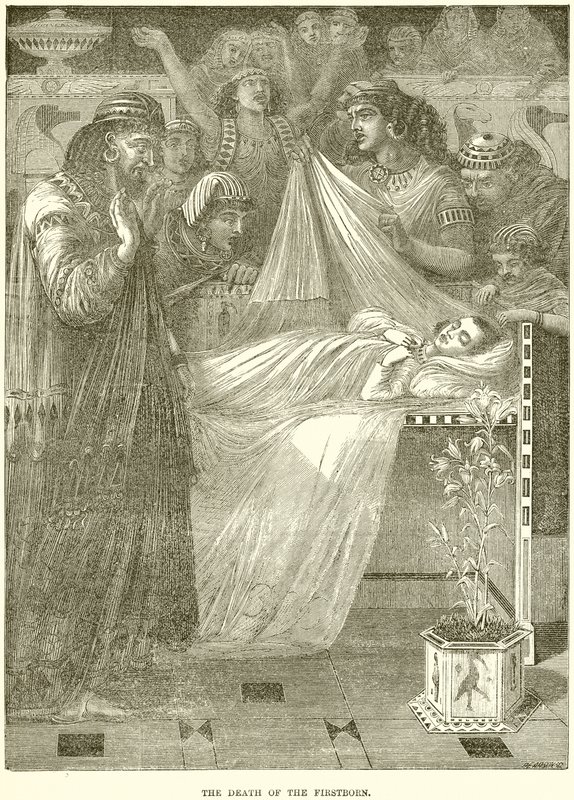A morte do primogênito de English School