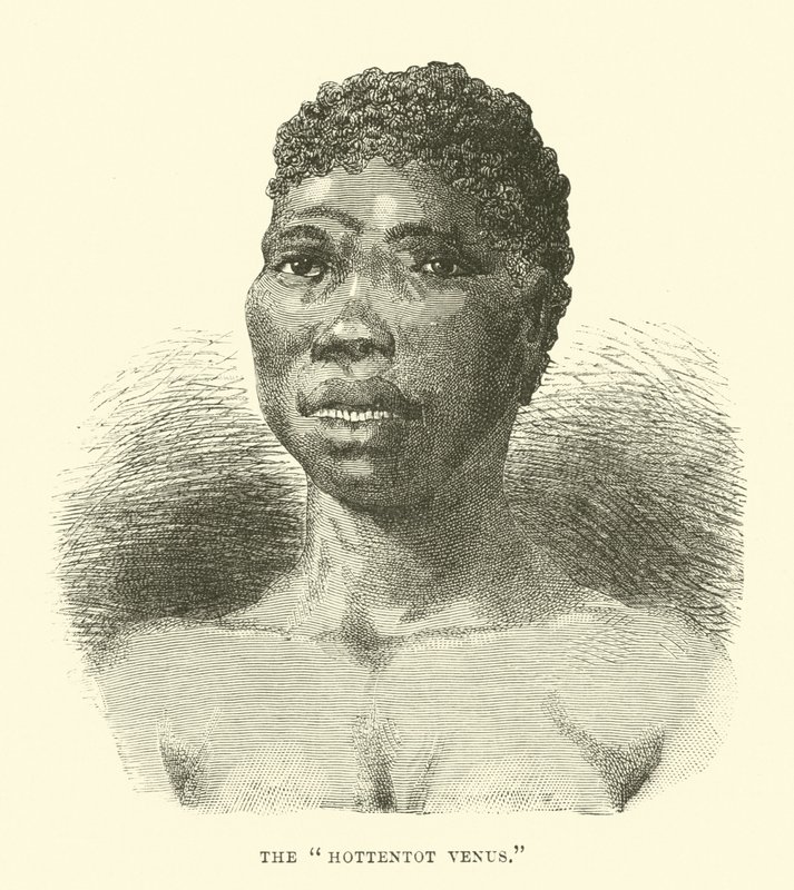 O Hottentot Venus de English School