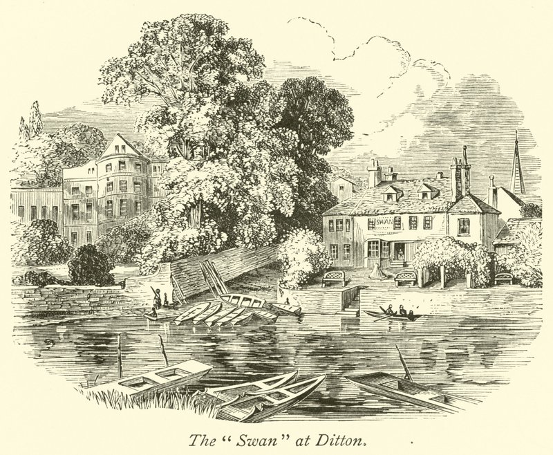 O cisne em Ditton de English School