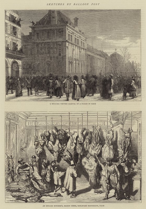 Esboços por Baloon Post de Ernest Henry Griset